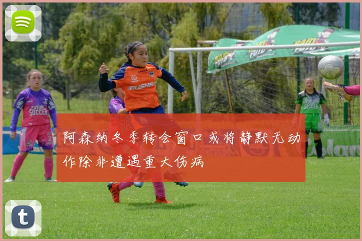 阿森纳冬季转会窗口或将静默无动作除非遭遇重大伤病